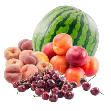 Noordertrots kersen
schaal à 400 gram,
wilde perziken, nectarines
schaal à 1000 gram
of watermeloen